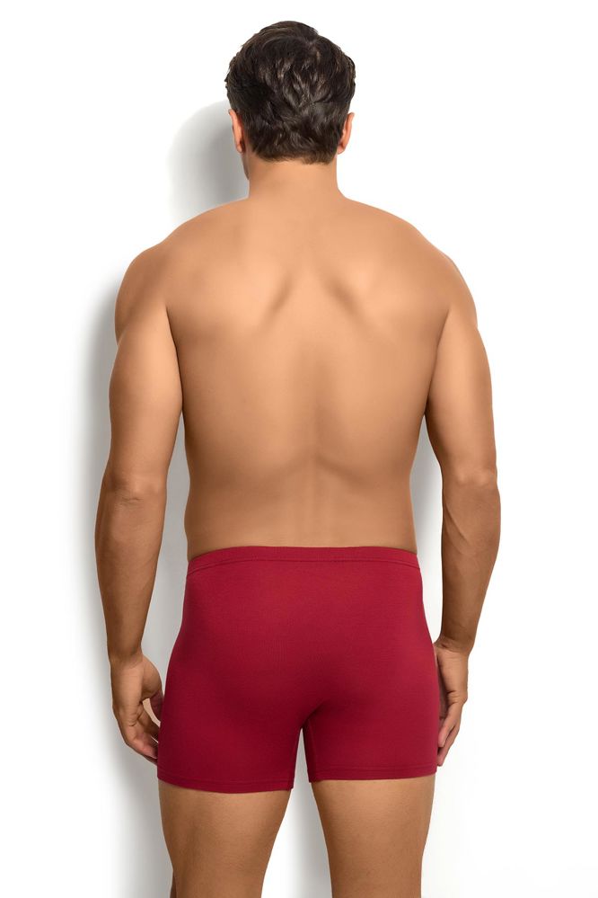 Men Boxer Bamboo 278_thumbnail_3